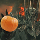Illustration for article titled Middle-Earth apparently has a very strict 'No Pumpkin' policy